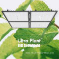 Far Red Grow Lights Greenhouse Grow Light 730nm